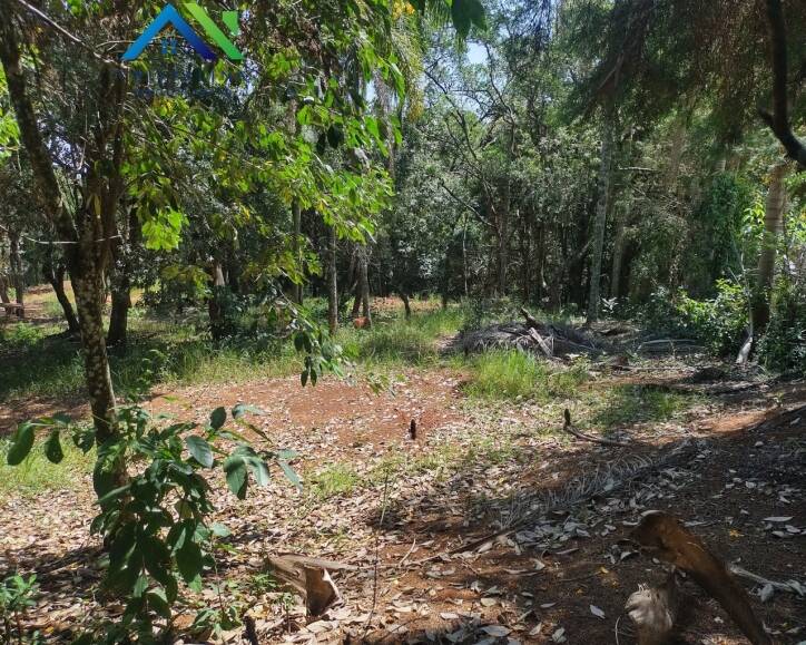 Comprar área com 5.000 m² 4 lotes uma casa simples Chácara San Martin I, Itatiba SP