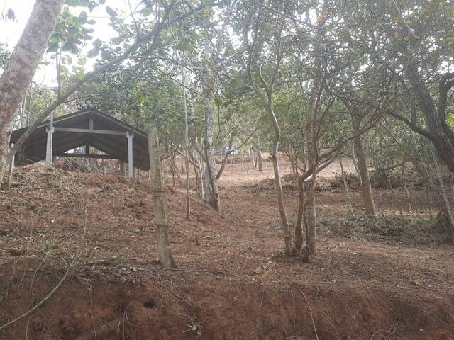 Área para Venda em Santo Antônio do Pinhal - 5