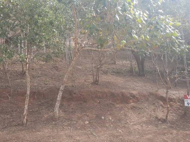 Área para Venda em Santo Antônio do Pinhal - 4