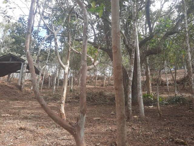 #579 - Área para Venda em Santo Antônio do Pinhal - SP - 3