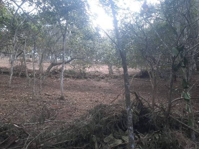 #580 - Terreno para Venda em Santo Antônio do Pinhal - SP - 3