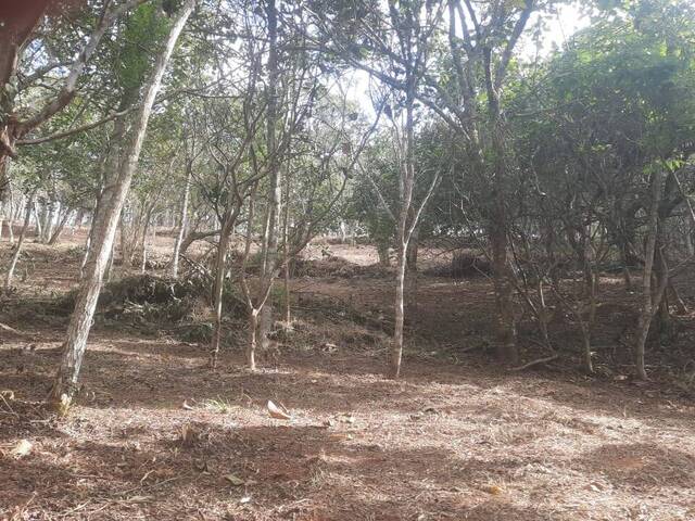 #580 - Terreno para Venda em Santo Antônio do Pinhal - SP - 2