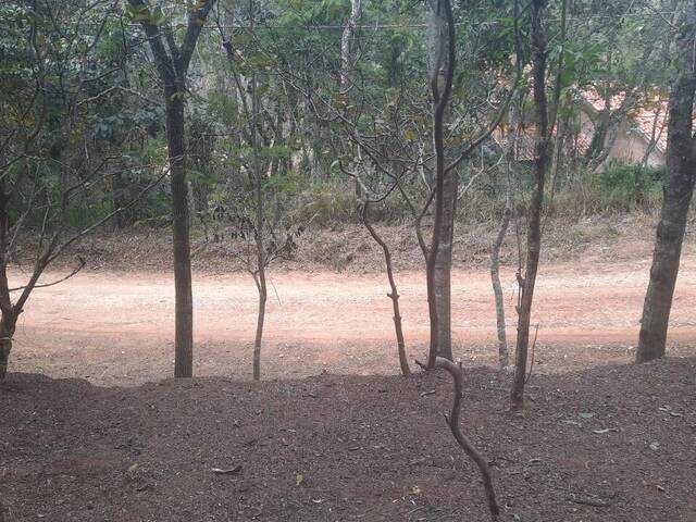 Venda em Pinhalzinho - Santo Antônio do Pinhal