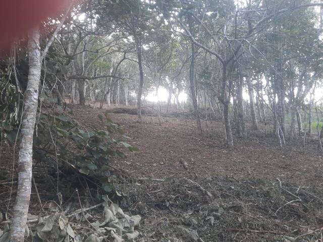 #581 - Terreno para Venda em Santo Antônio do Pinhal - SP - 3