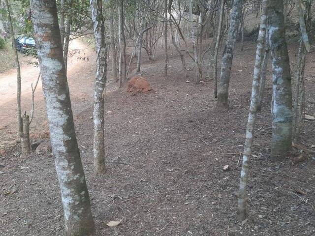 #581 - Terreno para Venda em Santo Antônio do Pinhal - SP - 2