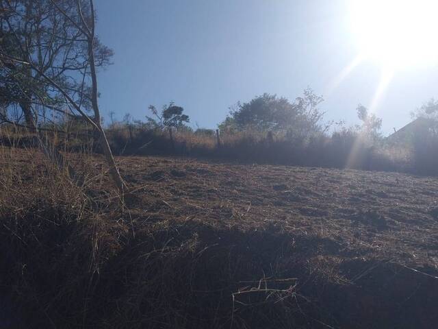 #582 - Terreno para Venda em Santo Antônio do Pinhal - SP - 2