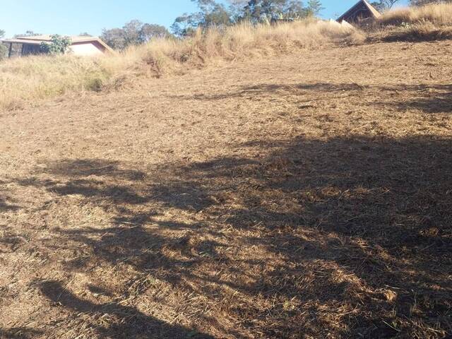 Venda em Pinhalzinho - Santo Antônio do Pinhal