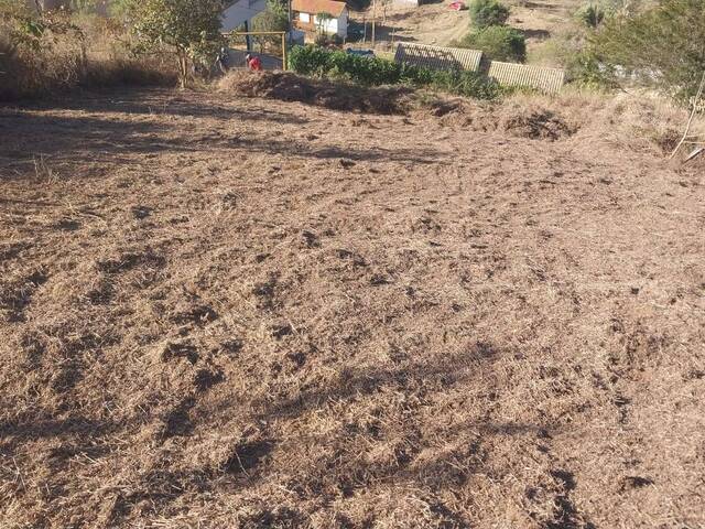 #582 - Terreno para Venda em Santo Antônio do Pinhal - SP - 3