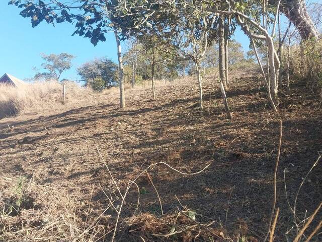 Terreno para Venda em Santo Antônio do Pinhal - 5