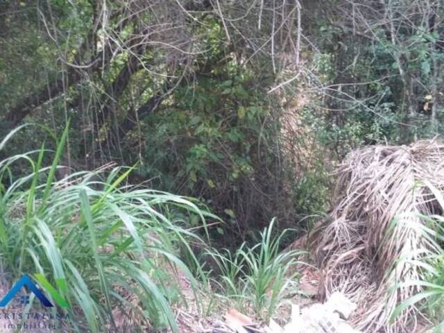 #TE00028 - Terreno para Venda em Campo Limpo Paulista - SP - 2