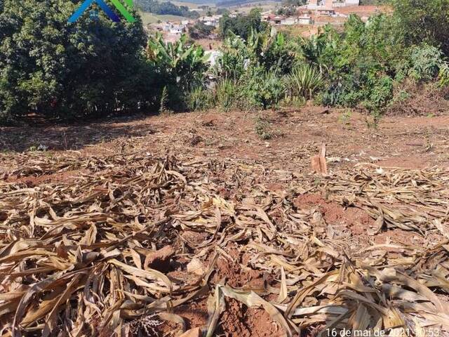 #TE00067 - Terreno para Venda em Jarinu - SP - 1