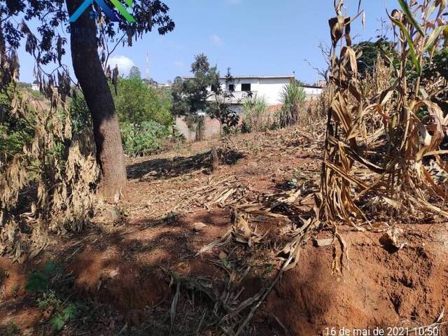 #TE00067 - Terreno para Venda em Jarinu - SP - 2