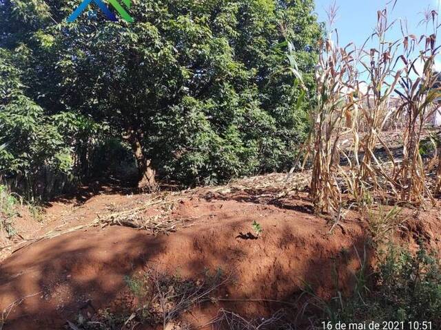 Terreno para Venda em Jarinu - 3