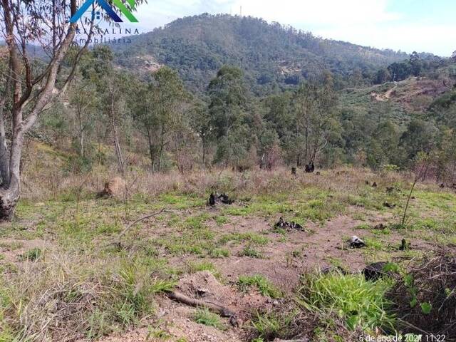 #TE00075 - Terreno para Venda em Campo Limpo Paulista - SP - 1