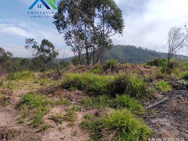 #TE00075 - Terreno para Venda em Campo Limpo Paulista - SP - 3