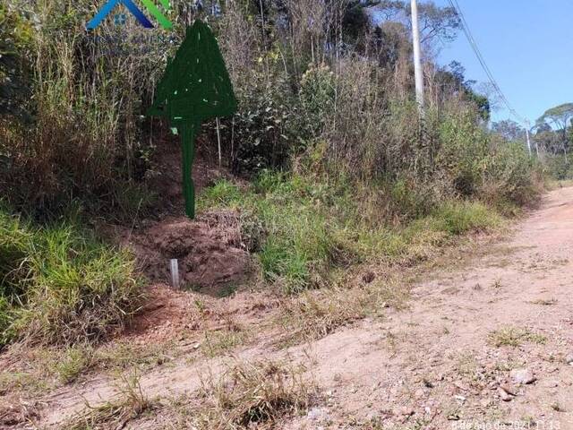 #TE00077 - Terreno para Venda em Campo Limpo Paulista - SP - 3