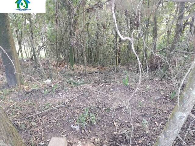 #TE00102 - Terreno para Venda em Jarinu - SP - 1