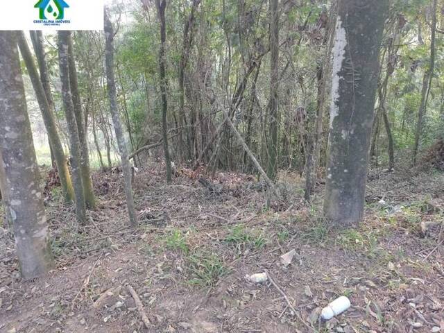 #TE00102 - Terreno para Venda em Jarinu - SP - 2