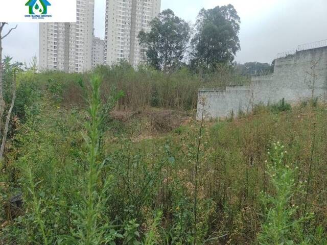 #TE00109 - Terreno para Venda em Várzea Paulista - SP - 1